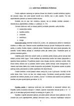 Referāts 'Aizdevumi un ar tiem saistītie riski', 8.