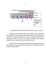 Referāts 'Aizdevumi un ar tiem saistītie riski', 23.