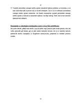 Referāts 'Aizdevumi un ar tiem saistītie riski', 28.