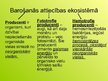 Prezentācija 'Ekoloģija', 9.