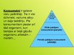 Prezentācija 'Ekoloģija', 10.