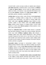 Konspekts 'Ģimenes tiesības: laulība, šķiršana pie notāra un tiesā, likumiska un ligimiska ', 2.