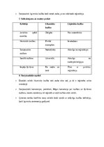 Konspekts 'Ģimenes tiesības: laulība, šķiršana pie notāra un tiesā, likumiska un ligimiska ', 18.