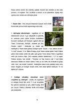 Referāts 'Tūrisma maršruts', 26.