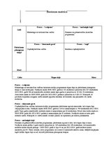 Paraugs 'Bostonas matrica', 1.