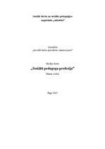 Eseja 'Sociālā pedagoga profesija', 1.