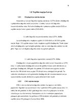 Diplomdarbs 'Videi draudzīga kravas transporta izmantošanas iespējas Latvijas tirgū konteiner', 16.