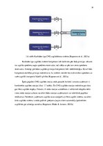 Diplomdarbs 'Videi draudzīga kravas transporta izmantošanas iespējas Latvijas tirgū konteiner', 19.