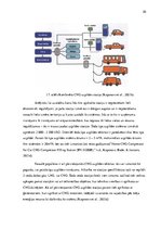 Diplomdarbs 'Videi draudzīga kravas transporta izmantošanas iespējas Latvijas tirgū konteiner', 20.