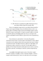 Diplomdarbs 'Videi draudzīga kravas transporta izmantošanas iespējas Latvijas tirgū konteiner', 33.