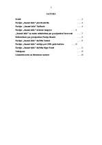 Referāts 'Politiskās partijas "Jaunais laiks" darbība 2008.gadā', 2.