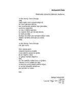 Konspekts 'A.Čaka "Strēlnieka dziesma latviešu meitenei"', 2.