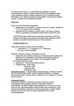 Konspekts 'Enzīmi', 3.