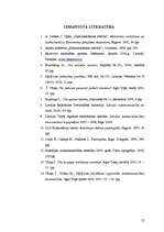 Referāts 'Olu ražošanas plāns saimniecībai', 25.