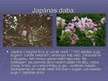 Prezentācija 'Japāna', 18.