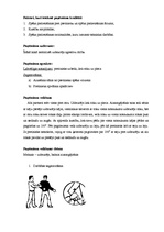 Referāts 'Pretinieka izvešana no līdzsvara ar sekojošu metienu. Skolēnu apmācības metodika', 2.