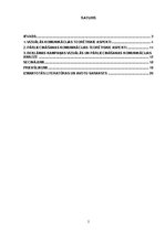 Referāts '“Miss Dior” smaržu reklāmas kampaņas vizuālā un pārliecināšanas komunikācija', 2.