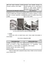 Referāts '“Miss Dior” smaržu reklāmas kampaņas vizuālā un pārliecināšanas komunikācija', 8.