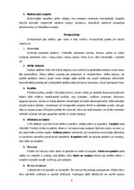 Referāts '“Miss Dior” smaržu reklāmas kampaņas vizuālā un pārliecināšanas komunikācija', 9.