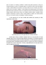 Referāts '“Miss Dior” smaržu reklāmas kampaņas vizuālā un pārliecināšanas komunikācija', 15.