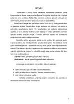 Referāts 'Pašvaldību pamatbudžeta ieņēmumi', 3.