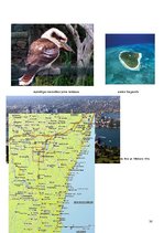 Referāts 'Austrālija', 30.