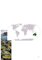 Referāts 'Austrālija', 31.