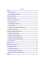 Konspekts 'Koncepcijas izstrāde', 5.