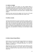 Konspekts 'Koncepcijas izstrāde', 10.