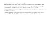 Referāts 'Akmeņogļu iegūšana', 2.