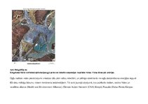 Referāts 'Akmeņogļu iegūšana', 9.