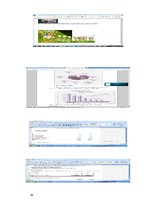 Diplomdarbs 'Komunikācija', 14.