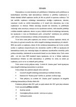 Diplomdarbs 'Komunikācija', 18.