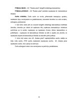 Diplomdarbs 'Komunikācija', 19.