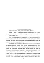 Diplomdarbs 'Komunikācija', 59.