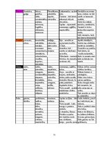 Diplomdarbs 'Komunikācija', 73.