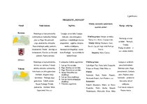 Referāts 'Mācību satura izvērtējums', 9.