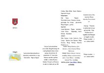 Referāts 'Mācību satura izvērtējums', 10.