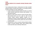 Konspekts 'Starptautiskais mārketings. Eksāmena atbildes', 22.