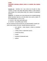 Konspekts 'Starptautiskais mārketings. Eksāmena atbildes', 26.