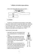 Referāts 'Fiziskās slodzes ietekme uz cilvēka organismu', 3.