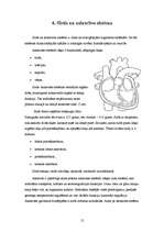 Referāts 'Fiziskās slodzes ietekme uz cilvēka organismu', 12.