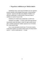 Referāts 'Fiziskās slodzes ietekme uz cilvēka organismu', 20.