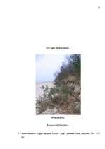 Referāts 'Svarīgākie notikumi Latvijā kopš neatkarības atgūšanas', 19.