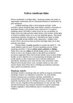 Referāts 'Galvas smadzeņu uzbūve', 4.