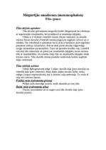 Referāts 'Galvas smadzeņu uzbūve', 7.