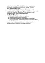 Referāts 'Galvas smadzeņu uzbūve', 9.