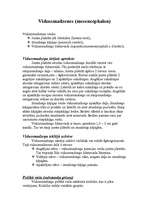 Referāts 'Galvas smadzeņu uzbūve', 10.