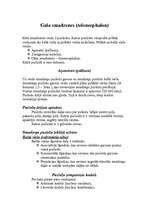 Referāts 'Galvas smadzeņu uzbūve', 14.