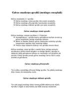 Referāts 'Galvas smadzeņu uzbūve', 16.